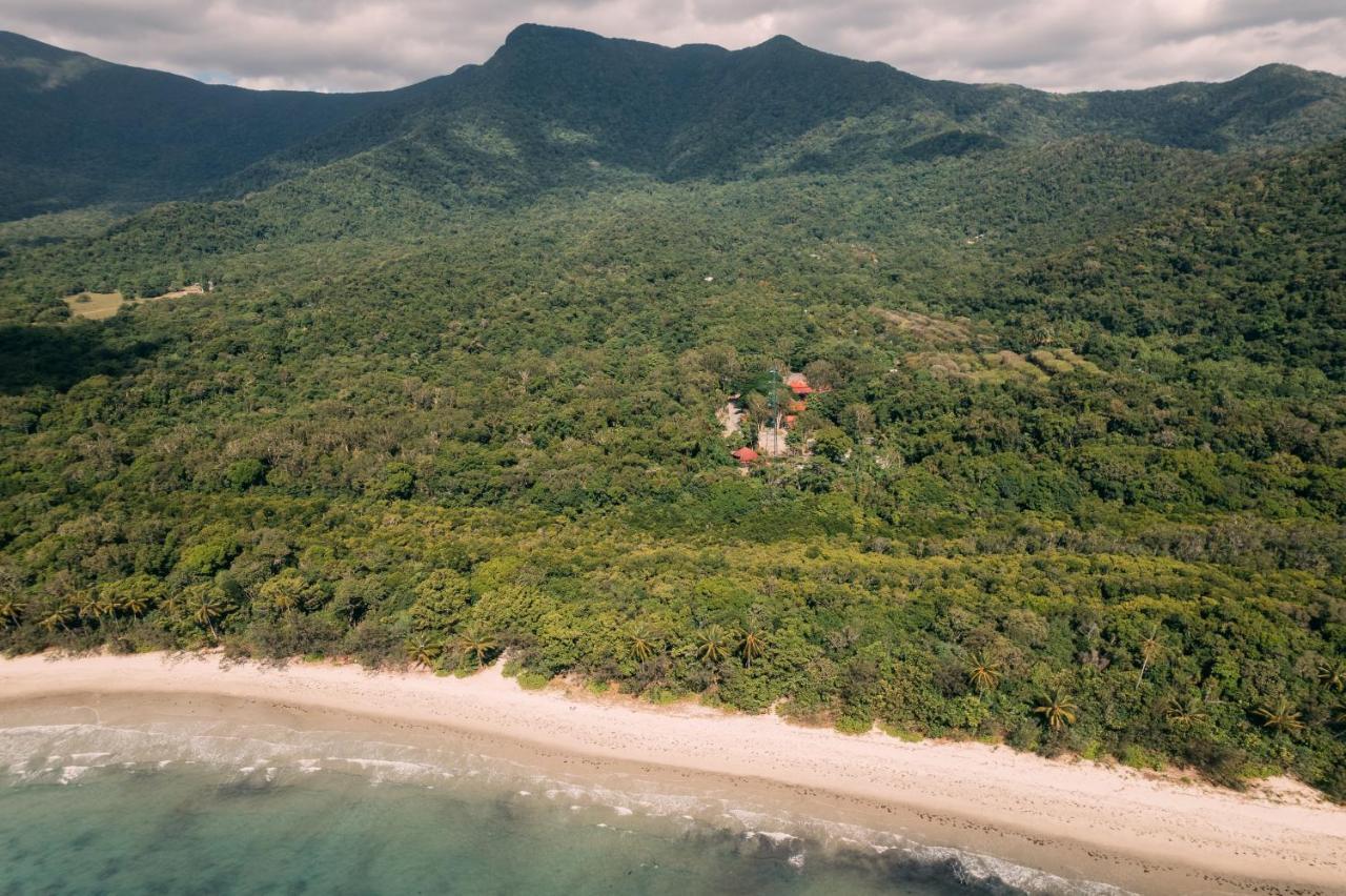 Pk'S Jungle Village Cape Tribulation Exterior foto