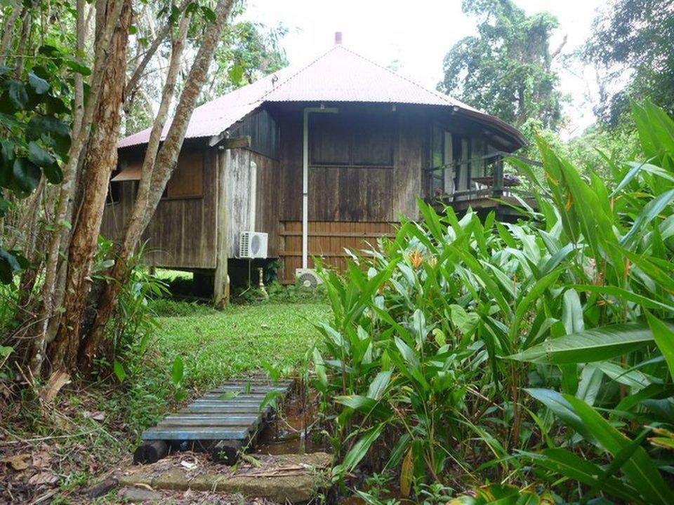 Pk'S Jungle Village Cape Tribulation Exterior foto